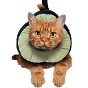 hey-collar-isabelino-palta (4).webp