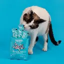 MKZG2R0M3Q-9997-004.webp