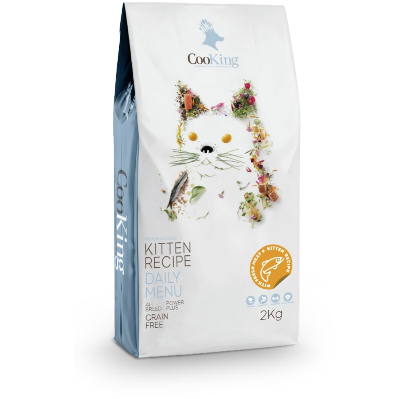 Cooking Cat Kitten