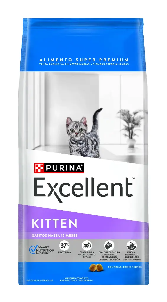 Excellent Kitten