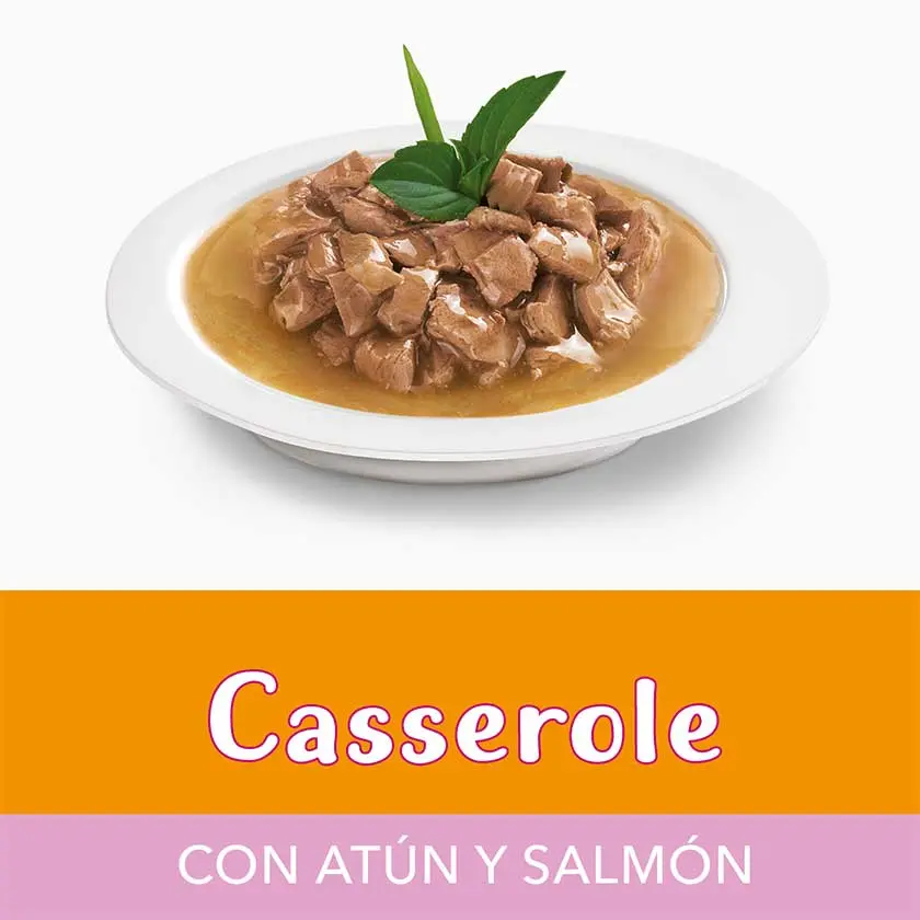 Fancy Feast Cass Pollo y Pavo