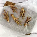De pelitos Patas de pollo pequeña