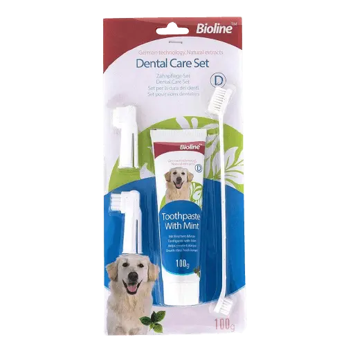 Set de Higiene Dental Menta