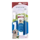 Set de Higiene Dental Menta