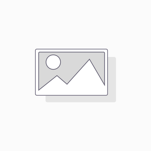 [1712269197778] Plato Elevado Ac. Inox. 