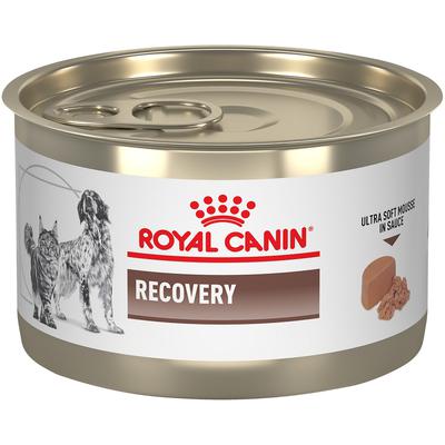 [44785] Royal Canin Recovery Perros y Gatos Lata 145 g