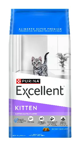 [12593404] Excellent Kitten