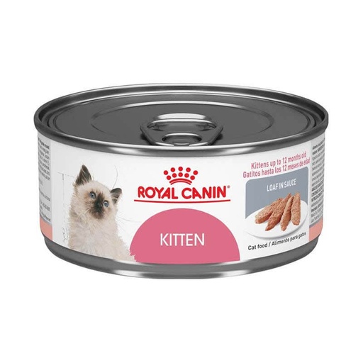 [41011] Royal Canin Kitten Lata 145 g