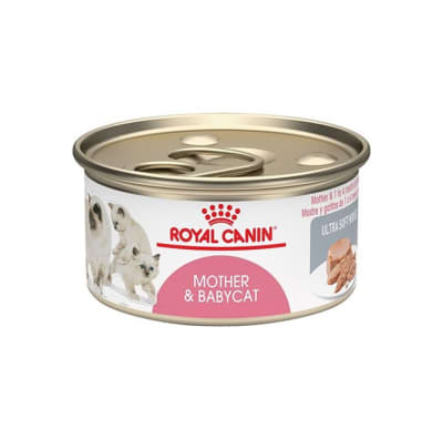 [41065] Royal Canin Mother & Babycat Lata 145 g