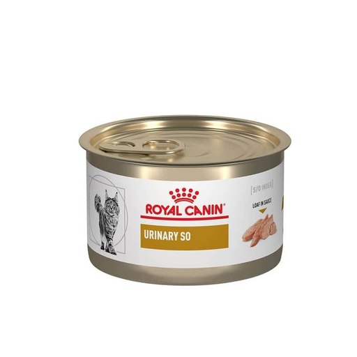 [44291] Royal Canin Urinary S/O Enlatado Cat 145 g