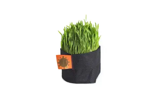 [1713376230568] Sangre Verde