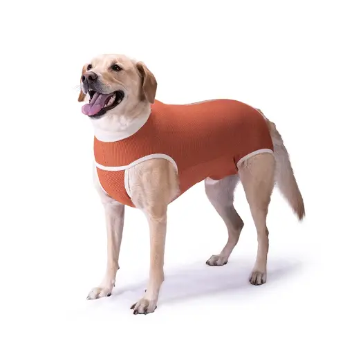Body de Cobre Castración Perros Machos